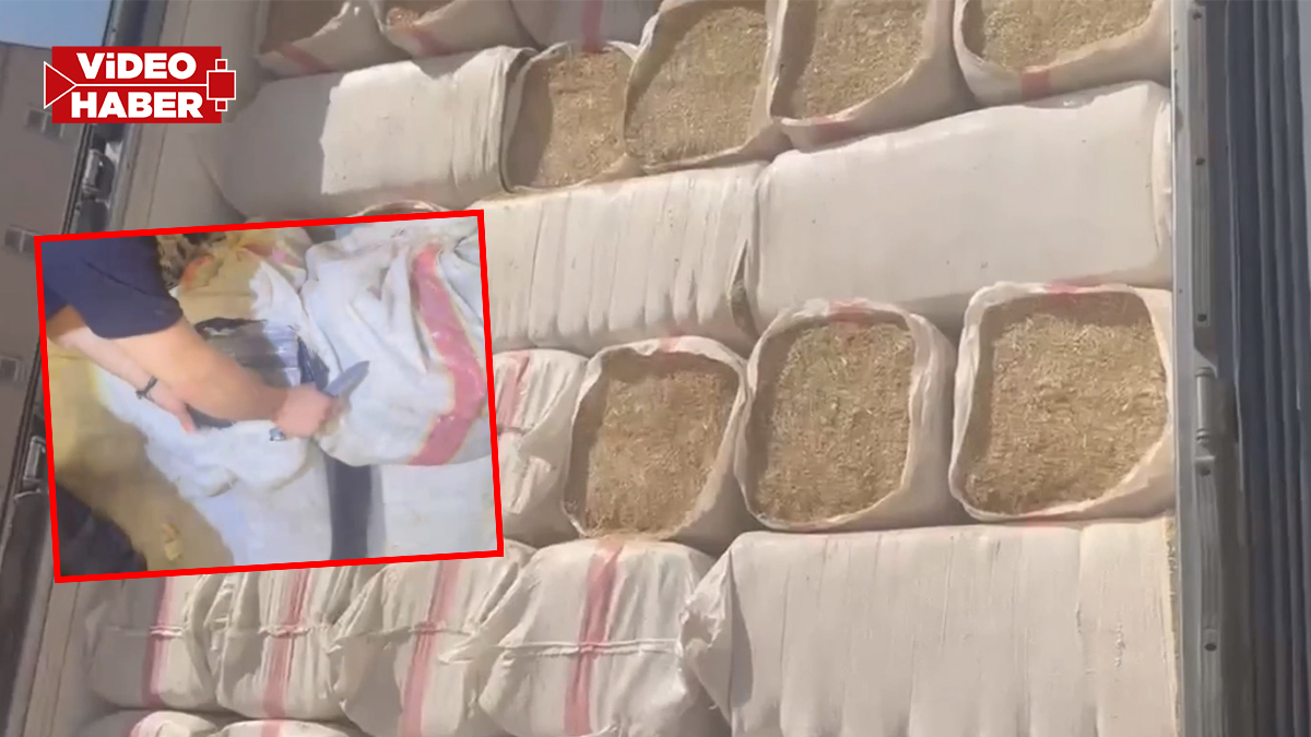 Şanlıurfa’da tır dorsesi değil, kaçakçılık deposu! Piyasa değeri dudak uçuklattı