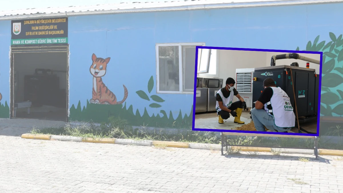 Şanlıurfa’da organik atıklar can dostlara umut oluyor