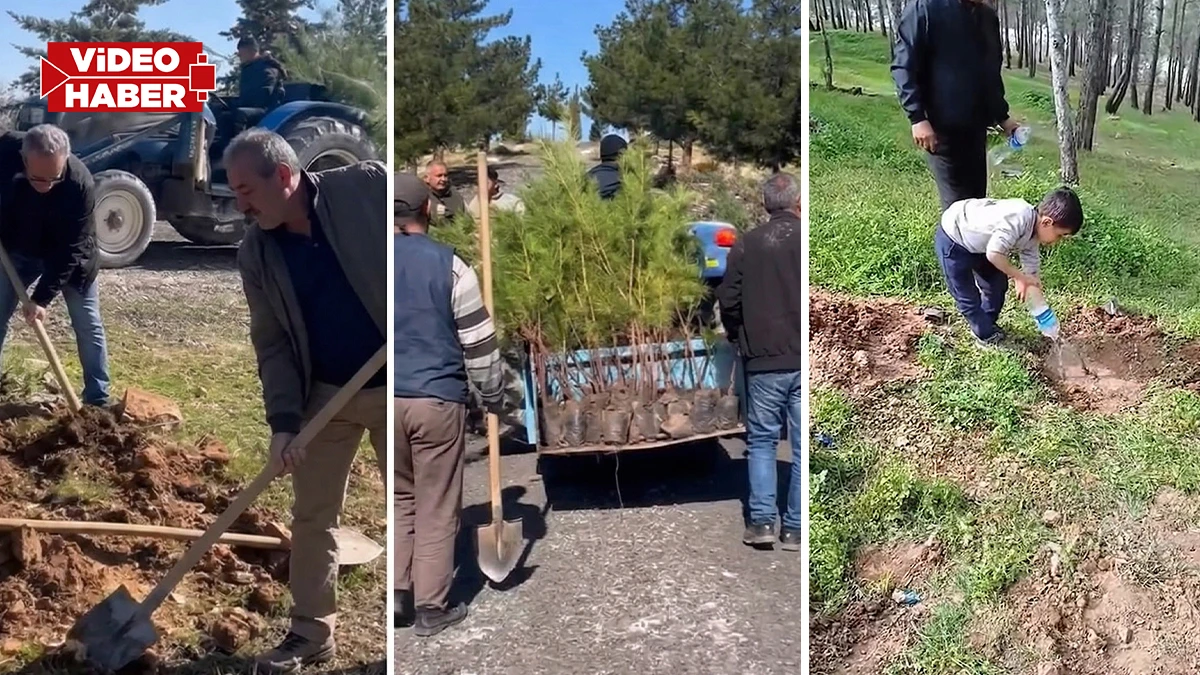 Şanlıurfa’da mahalleliden anlamlı etkinlik! Gidenlerin anısı fidanlarla yeşerecek
