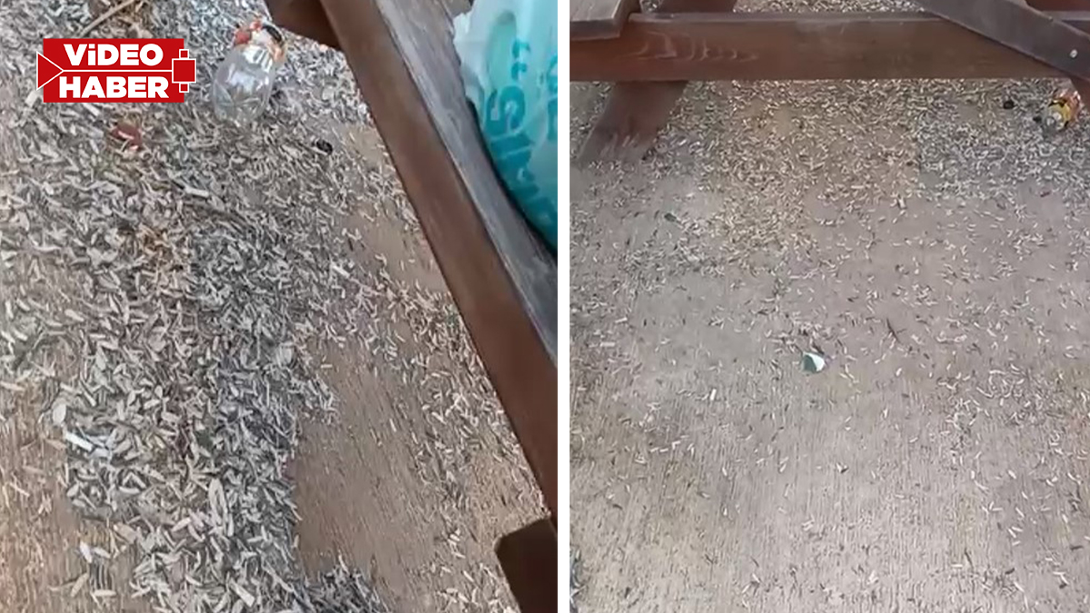 Şanlıurfa'da görevli süpürmekten bıktı, kirletenler kirletmekten utanmadı