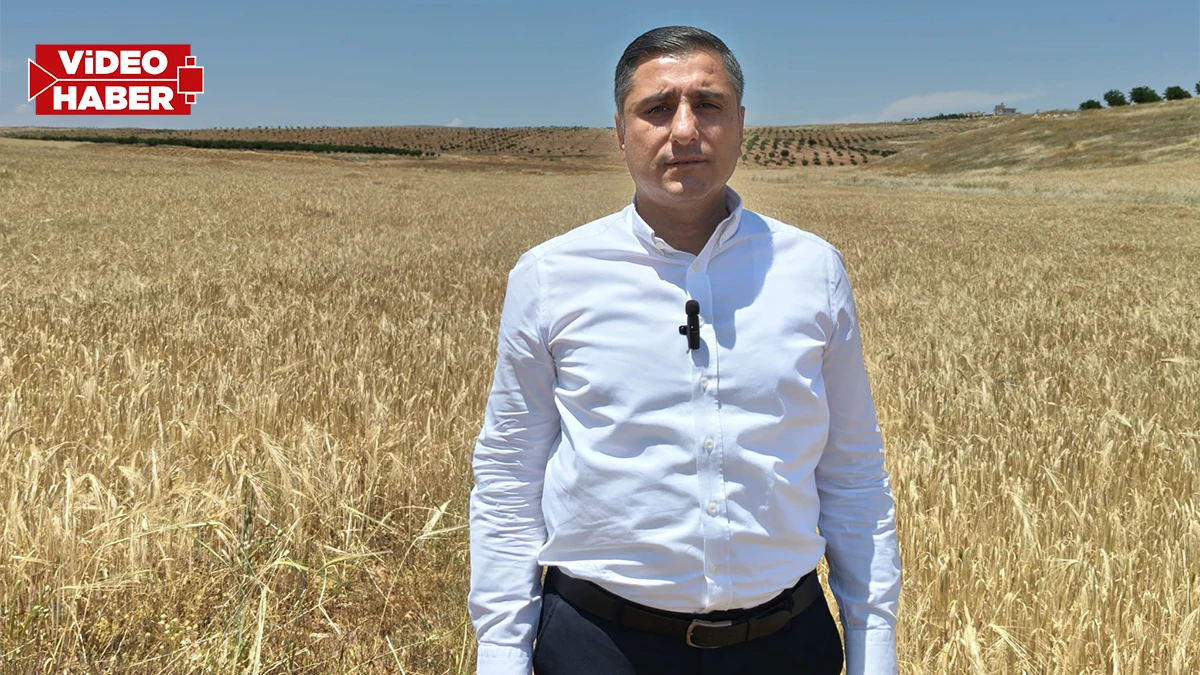 Karadağ’dan tarım politikalarına sert sözler! “Çiftçi tüccarın insafına terk edildi”