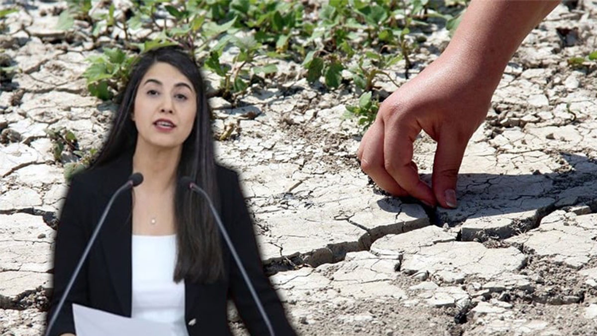 Şanlıurfa çiftçisini sarsan iddia Meclis’e taşındı!