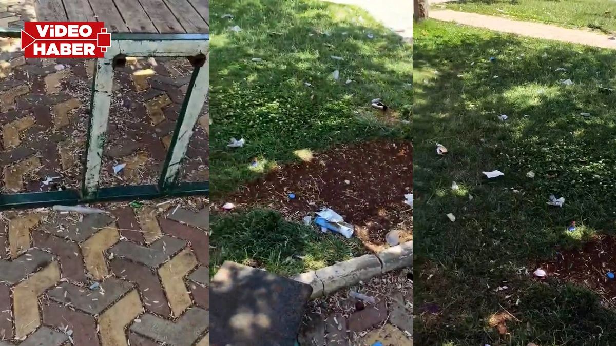 Çevreyi kirleten yaşadığı şehre ihanet edendir!