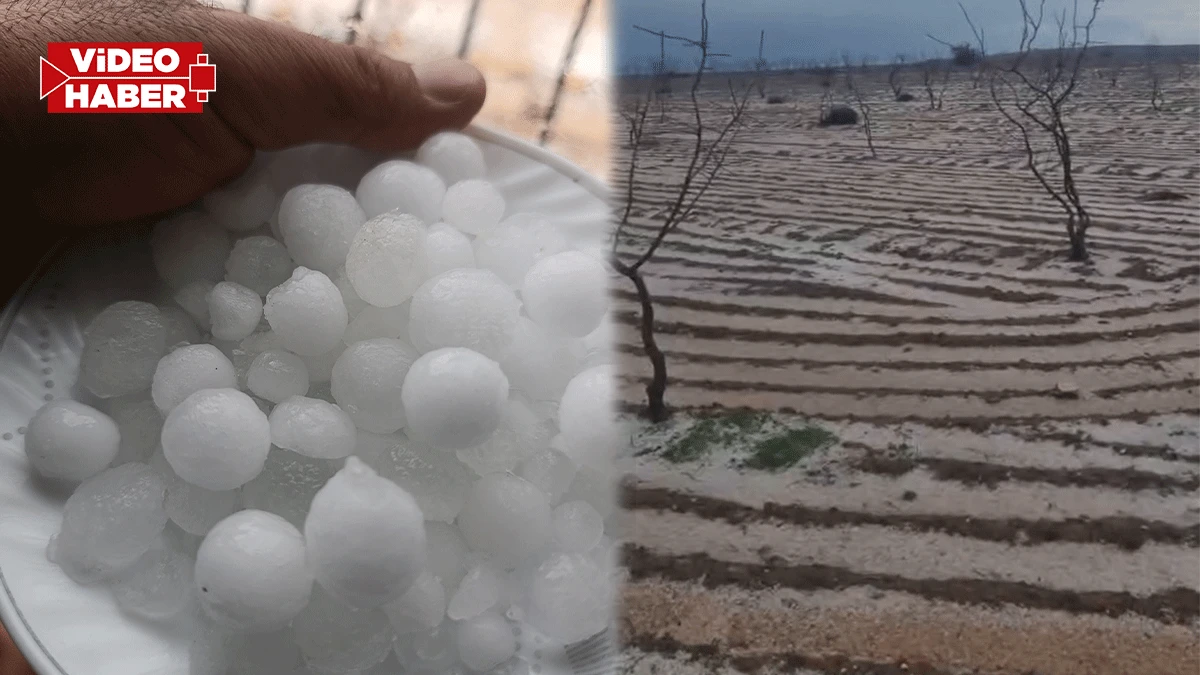 Şanlıurfalılar neye uğradığını şaşırdı! Bir anda misket büyüklüğünde yağdı