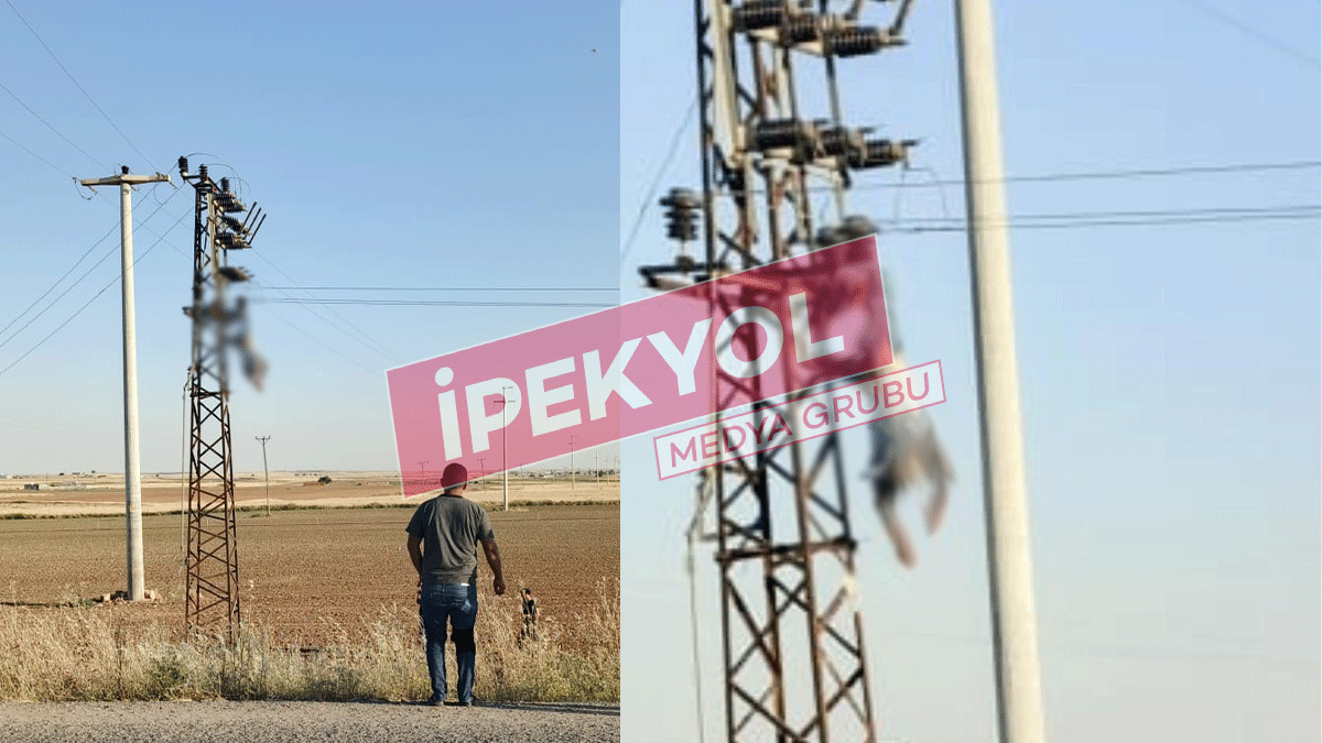 Şanlıurfa’da akıma kapılan elektrikçi direkte asılı kaldı! Hastaneye kaldırıldı