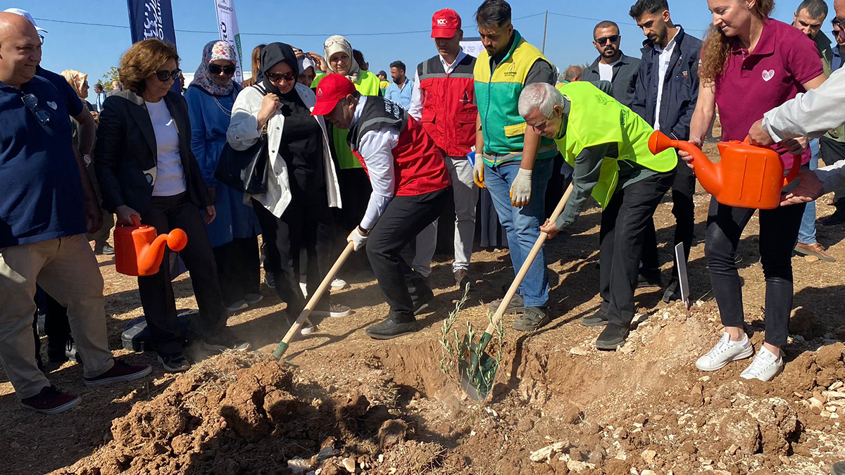 Şanlıurfa toprakla yeşeriyor! Binlerce fidan dikildi