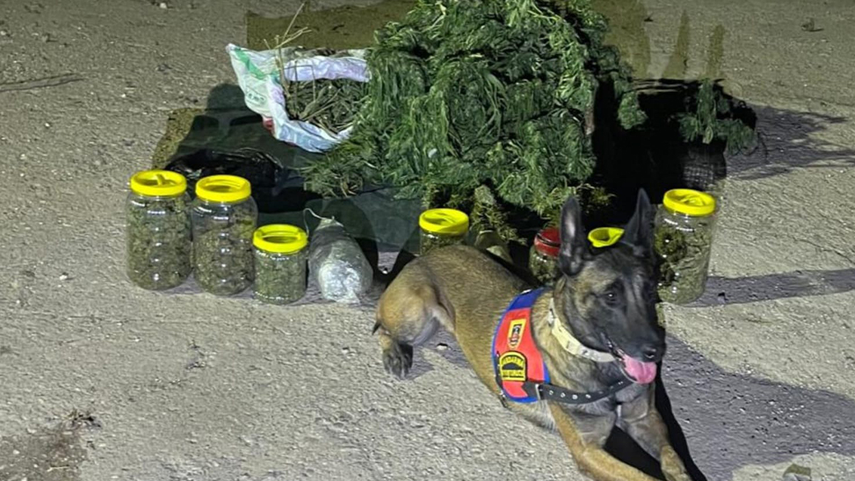 Şanlıurfa’da operasyonda tam 13 kilo ele geçirildi