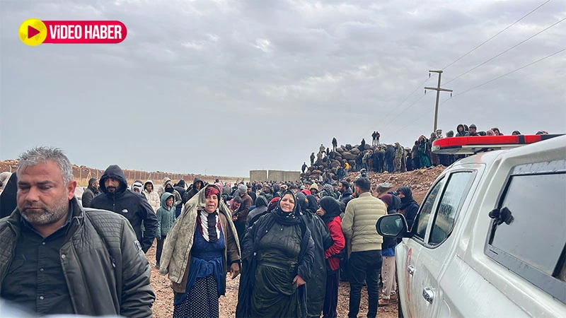 Şanlıurfa güne korkunç haberle uyandı! Çobanın feci ölümü…