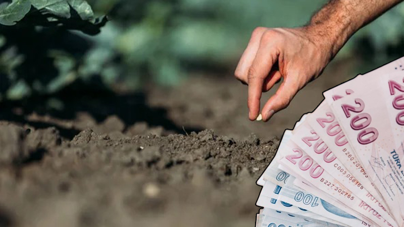 Şanlıurfa’daki çiftçilere 2.7 milyon TL’lik ödeme!