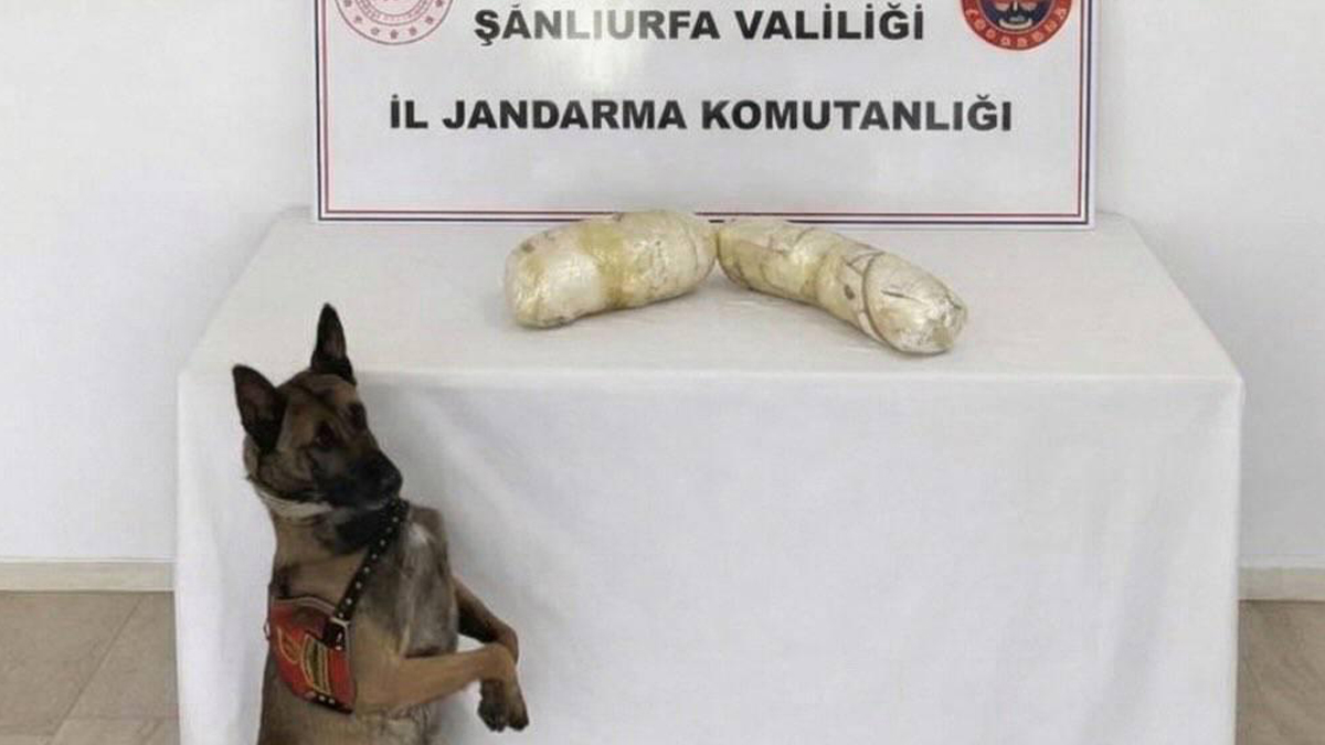 Şanlıurfa’da jandarma baskınıyla ele geçirildi!