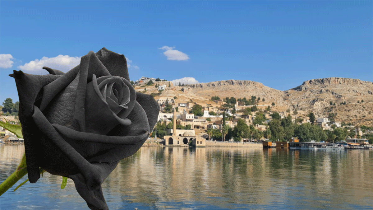 Şanlıurfa’da kavuşamayan aşıklardan doğan karagül efsanesi