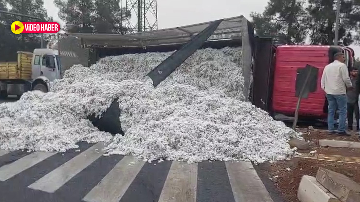 Şanlıurfa’da pamuk yüklü kamyon yan yattı! Tonlarca pamuk yola saçıldı