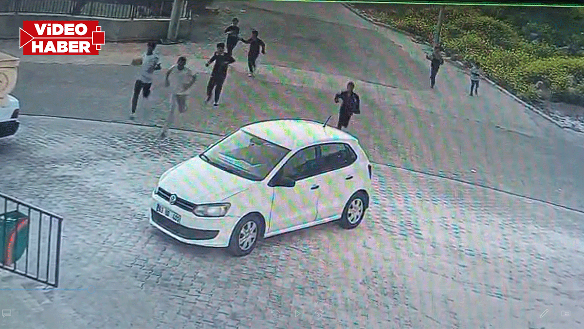 Şanlıurfa'da Cumhurbaşkanı talimatı bile hiçe sayıldı! Bu kaçıncı köpek saldırısı
