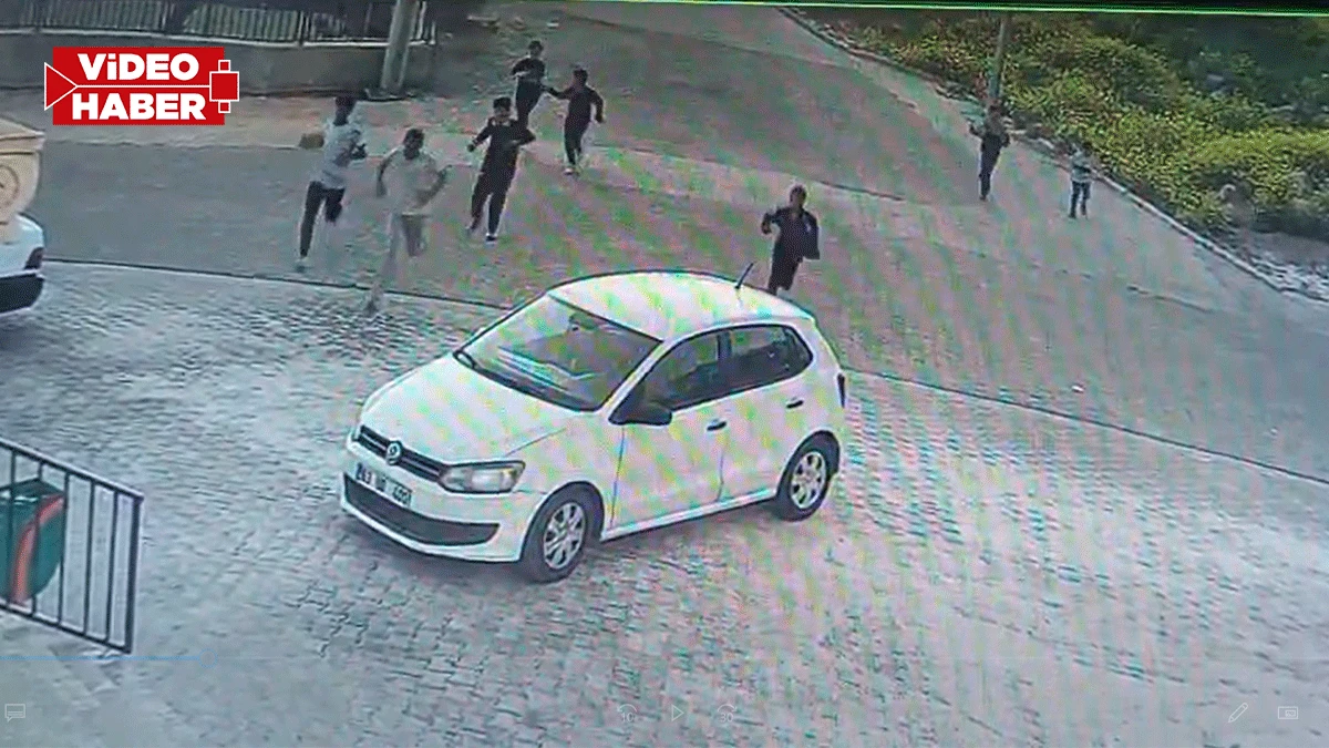 Şanlıurfa'da Cumhurbaşkanı talimatı bile hiçe sayıldı! Bu kaçıncı köpek saldırısı