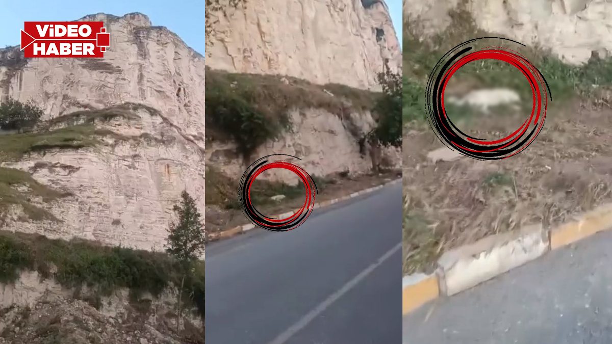 Şanlıurfa’da vahşet iddiası! Köpek kayalıklardan atıldı