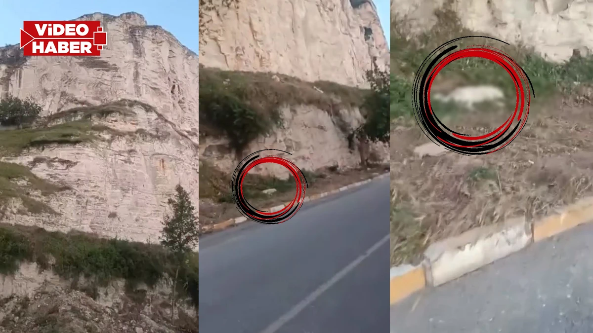Şanlıurfa’da vahşet iddiası! Köpek kayalıklardan atıldı