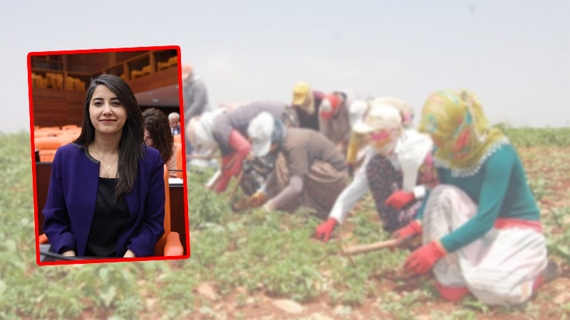 Şanlıurfa milletvekili bakanlığa sordu: Mevsimlik işçilerden haberiniz var mı?