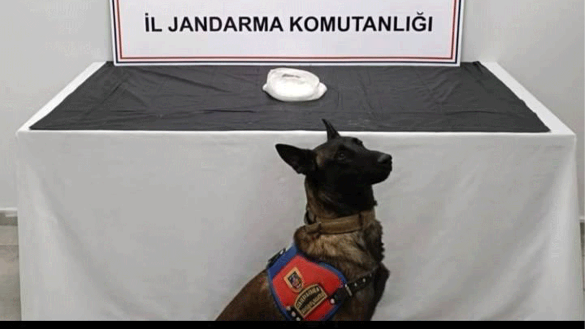 Haliliye’de metamfetamin ele geçirildi! 2 kişi yakalandı