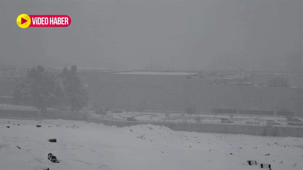 Şanlıurfa Şanlıurfa olalı böyle bir şey görmedi: Kar var tipi var bir boran eksik