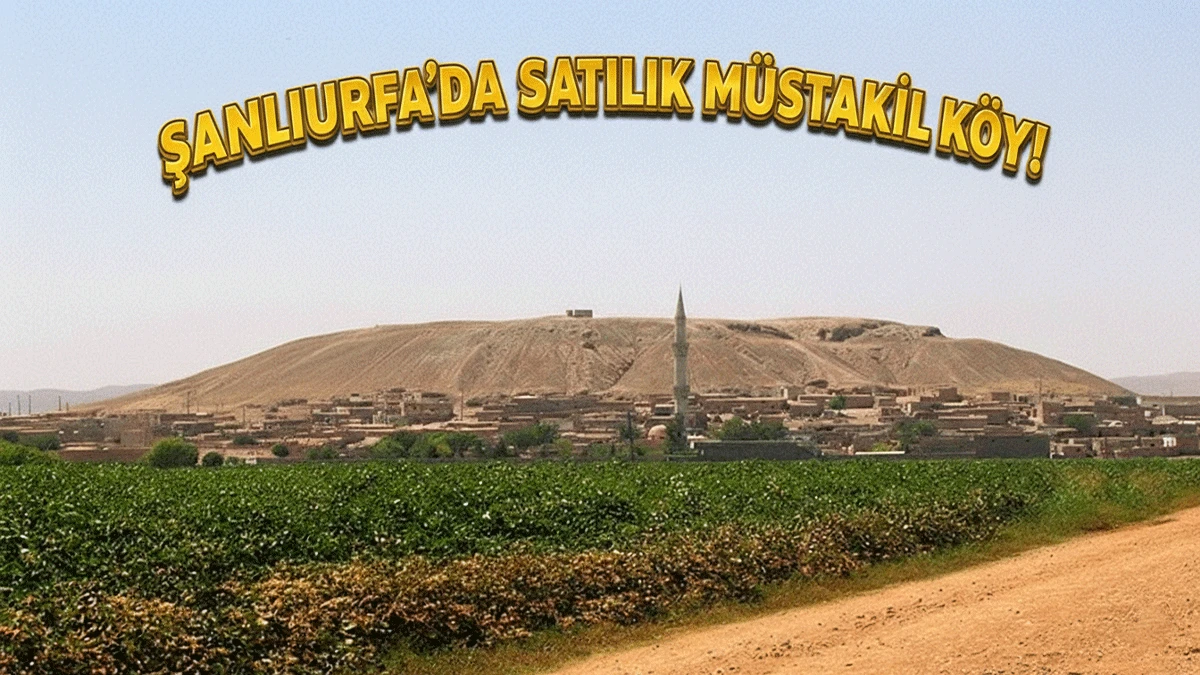 Şanlıurfa’da bugüne kadar verilmiş en ilginç ilan! Satılık köy…