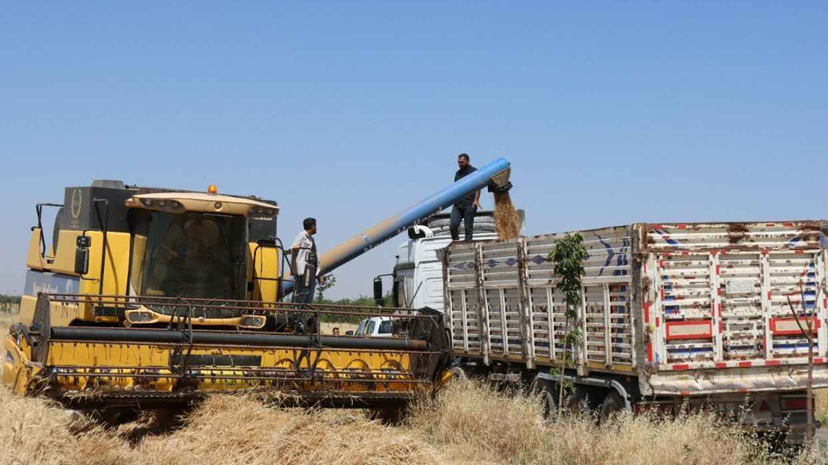 Şanlıurfa’da çiftçinin gözü bu karardaydı! Hububat alım fiyatları açıklandı