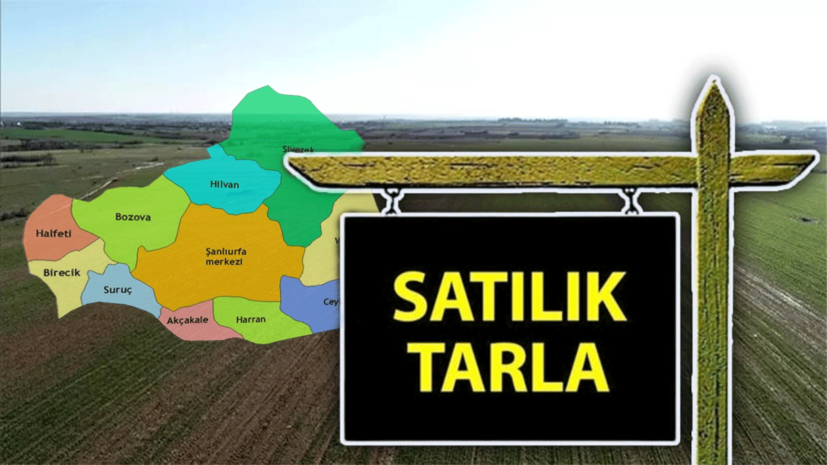 Şanlıurfa’da dev arazi icradan satışa çıkarıldı! İşte bedeli…