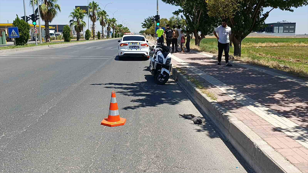 Şanlıurfa’da otomobille motosiklet çarpıştı!