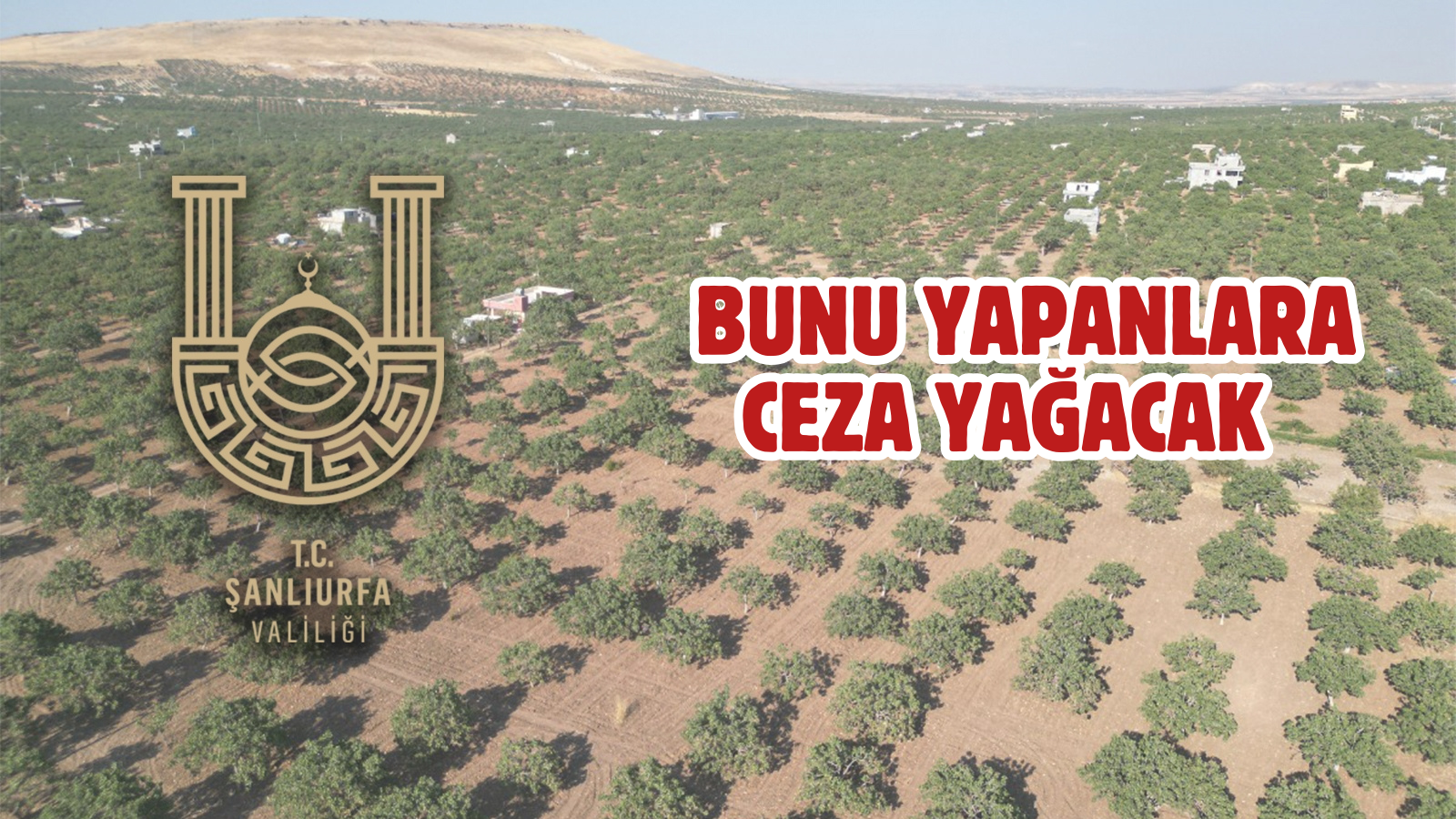 Şanlıurfa Valiliği uyardı! 1 Nisan’dan itibaren yasak