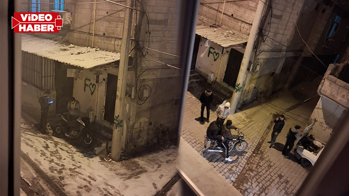 Şanlıurfa’da uyuşturucu çetesi mahalleyi esir aldı iddiası! Hayvanlar bile etkilendi