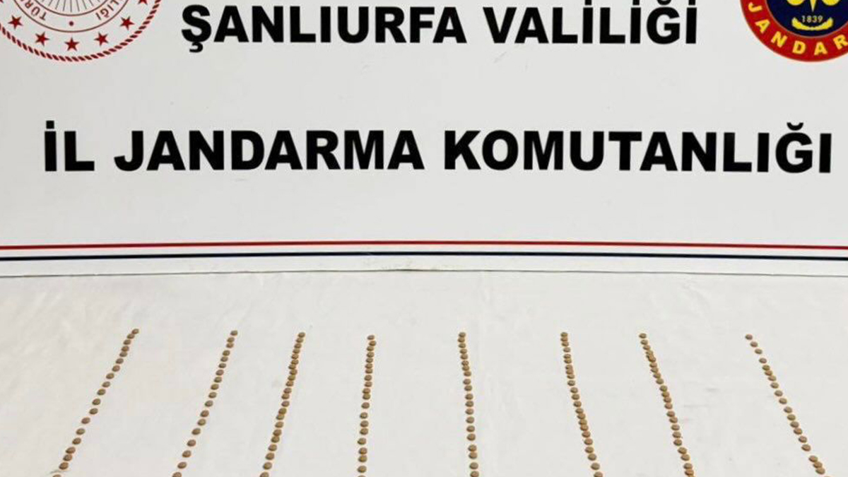 Şanlıurfa’da zehir tacirlerine jandarma darbesi!