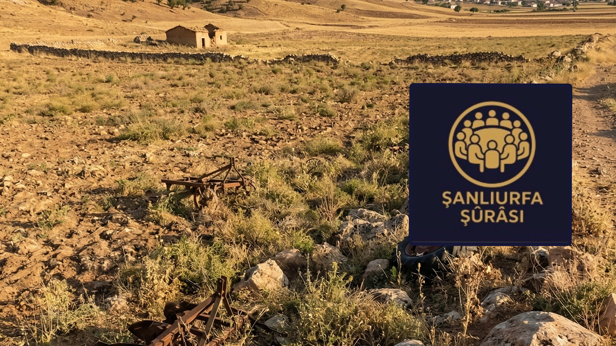 Şanlıurfa'nın kayıp hazinesi! Taşın altında servet yatıyor