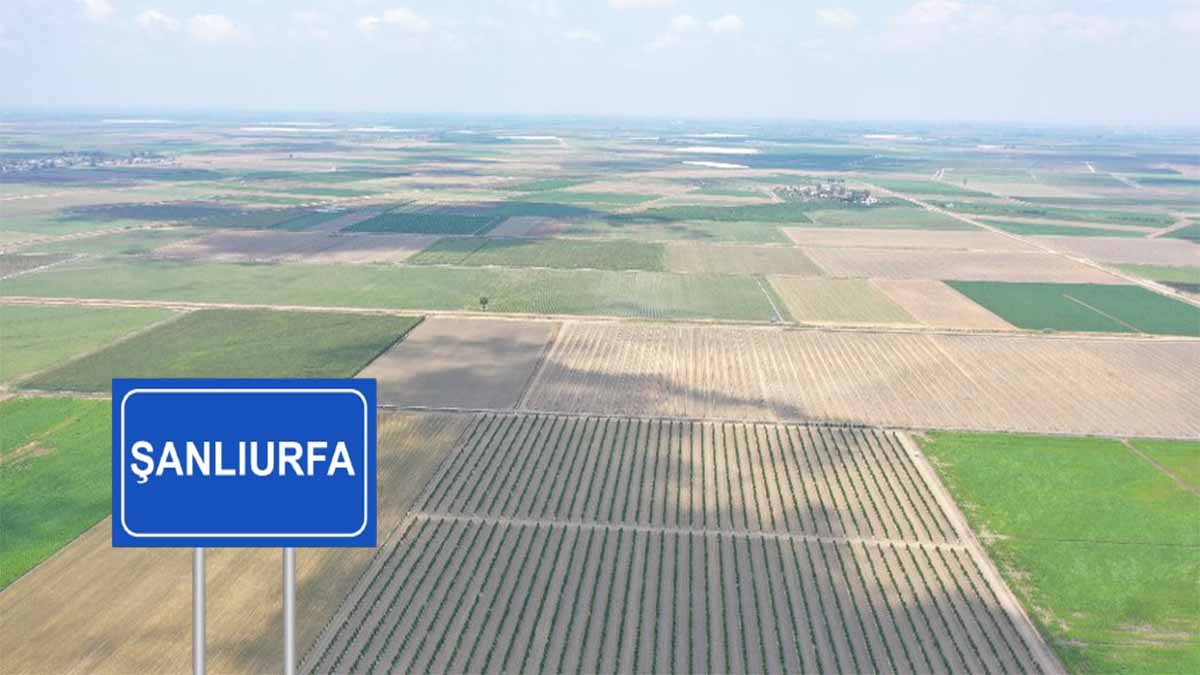 Şanlıurfa’da 23 gün içinde başvurmayanın arazisi kiraya verilecek