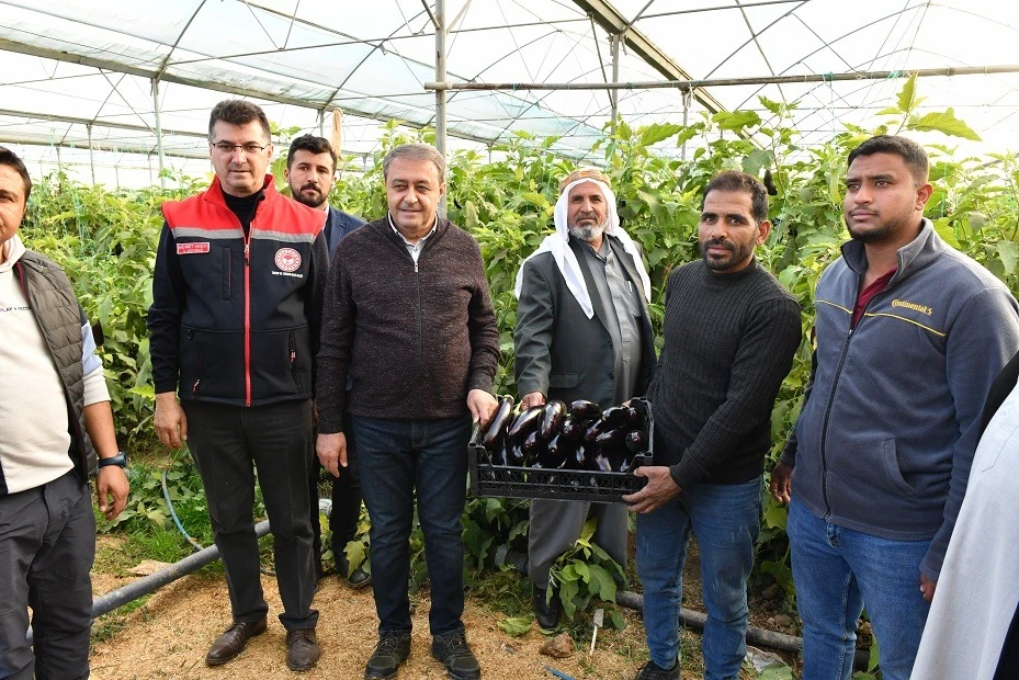 Şanlıurfa'da 4 bin dekar alanda yeni OSB müjdesi!