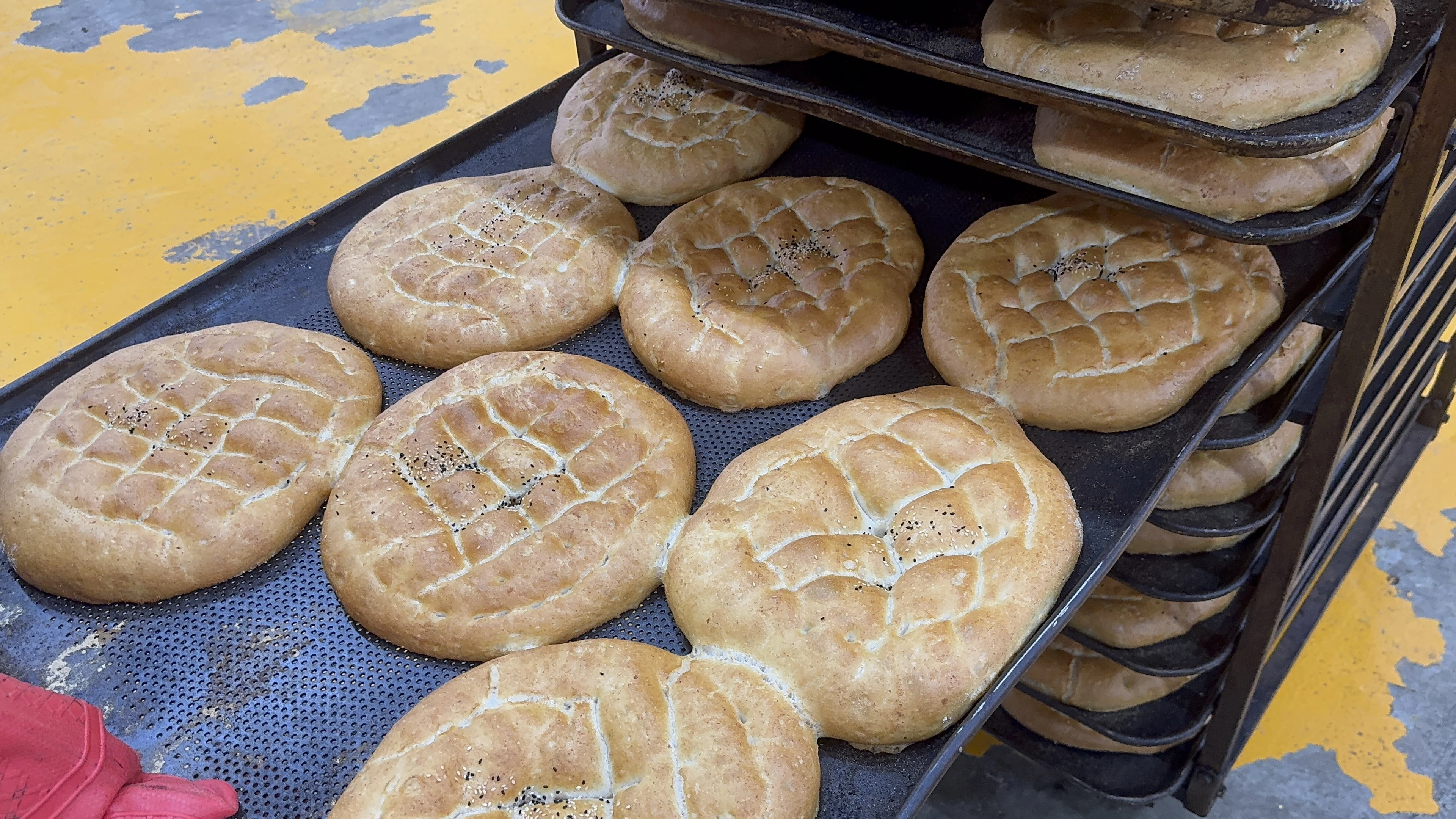 Şanlıurfa’da 59 noktada ucuz ekmek satışı! 60 bin ekmek…