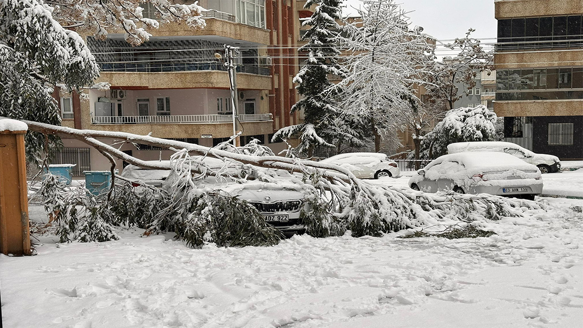Şanlıurfa’da aracını buralara park edenler bin pişman!