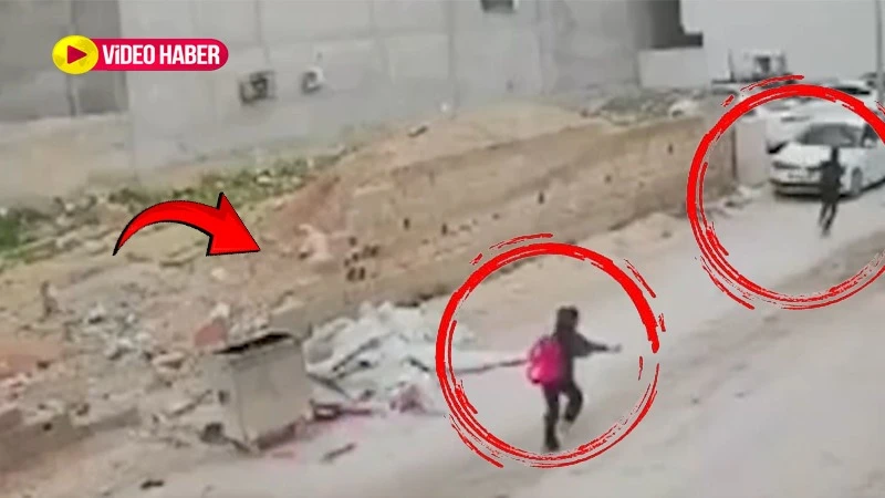 Şanlıurfa’da başıboş köpek dehşeti: Korku dolu anlar kamerada