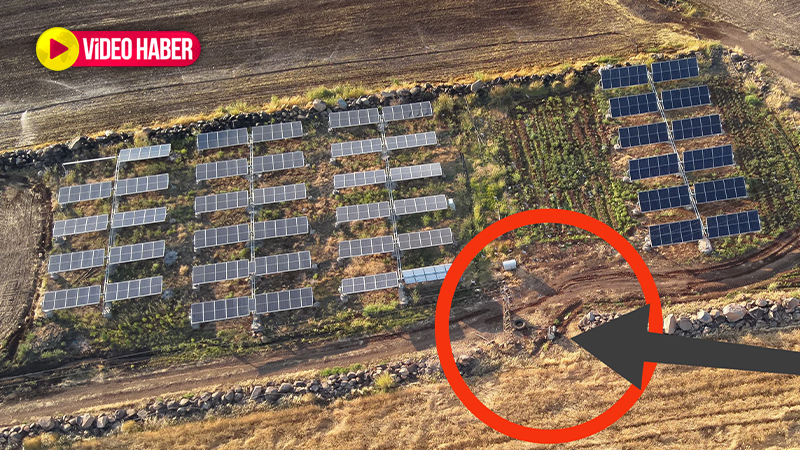 3 bin evi aydınlatabilecek kapasitede! Şanlıurfa’da bir günde ele geçirilen öyle böyle değil