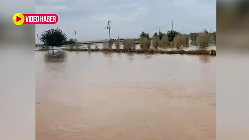 Şanlıurfa’da büyük felaket: Ekinler sular altında