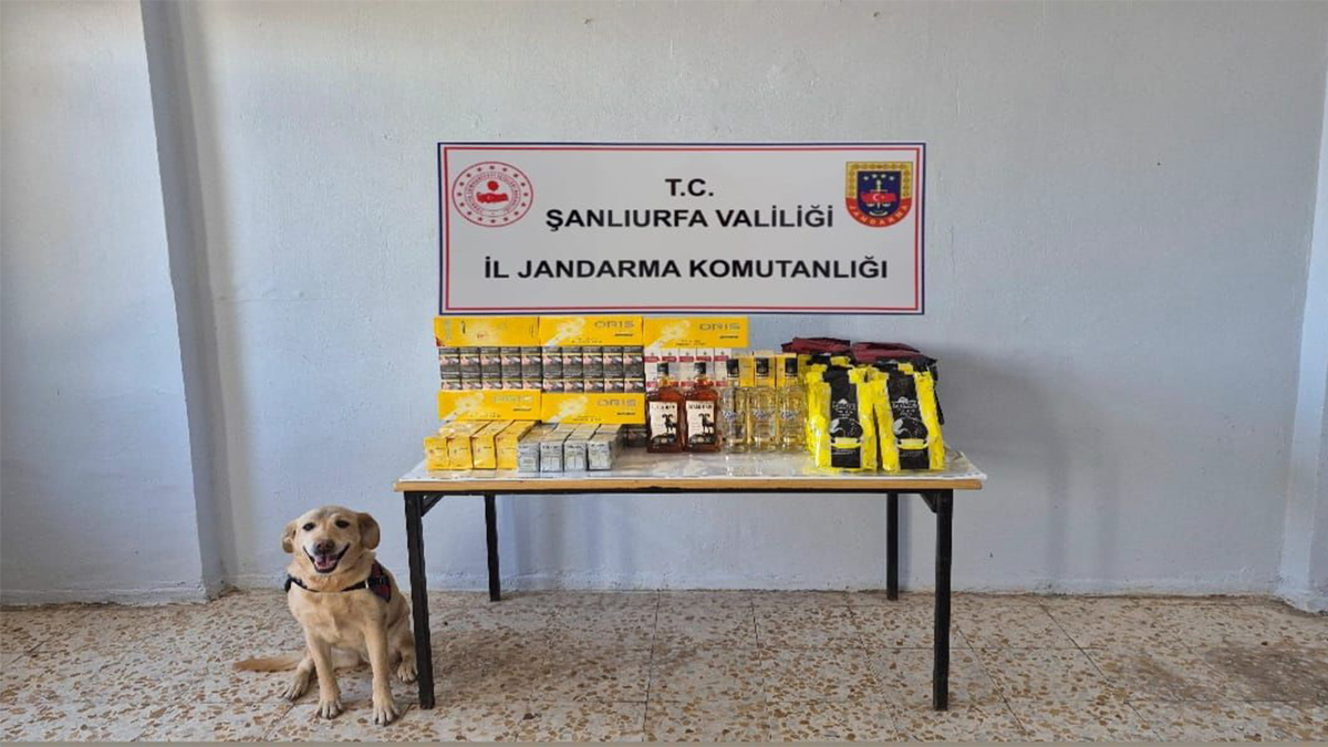 Şanlıurfa’da dedektör köpekler iz sürdü, kaçak ürünler yakalandı!