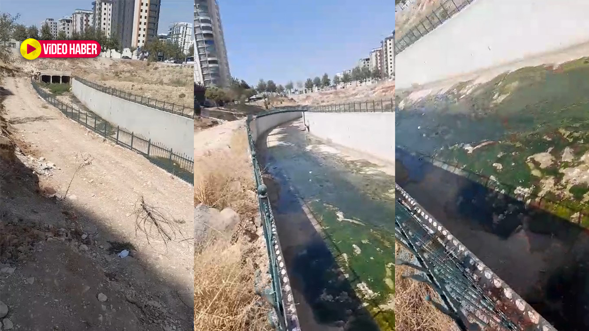 Şanlıurfa’da mahallelinin dere dramı! Çözüm bekliyorlar