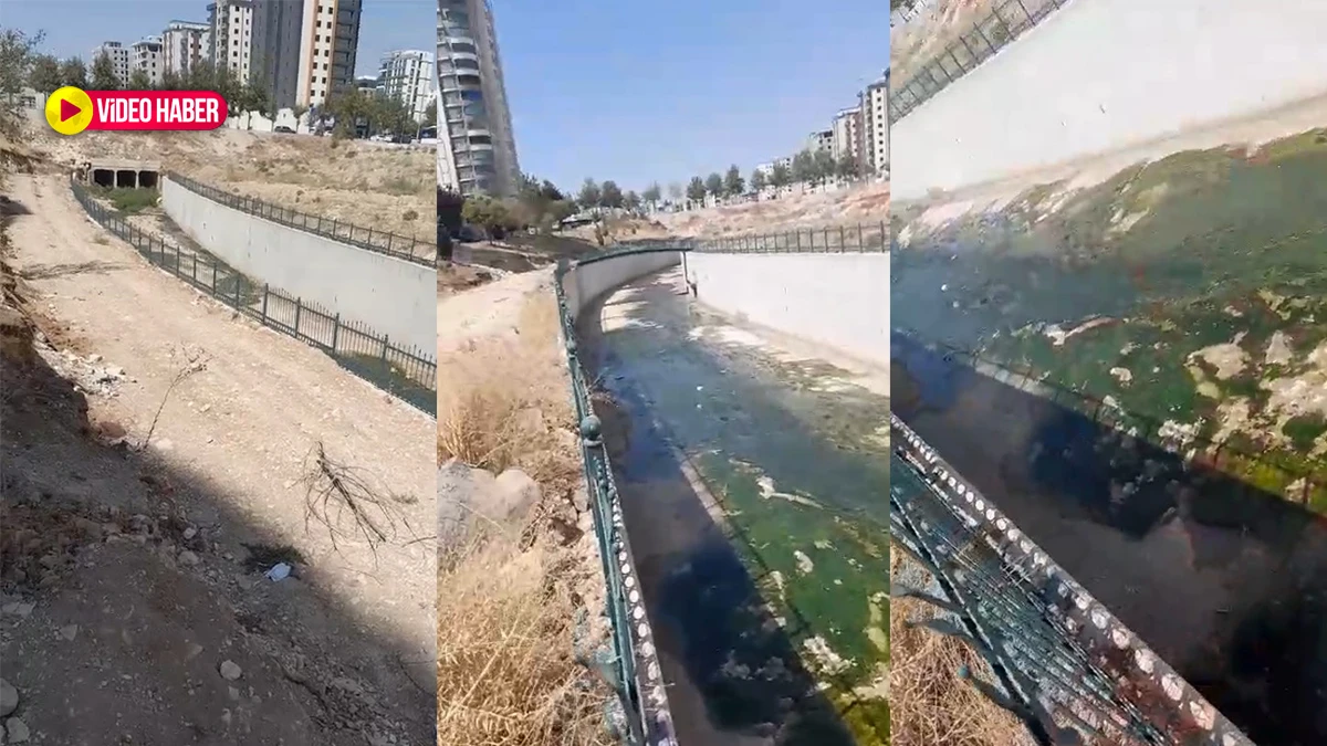 Şanlıurfa’da mahallelinin dere dramı! Çözüm bekliyorlar