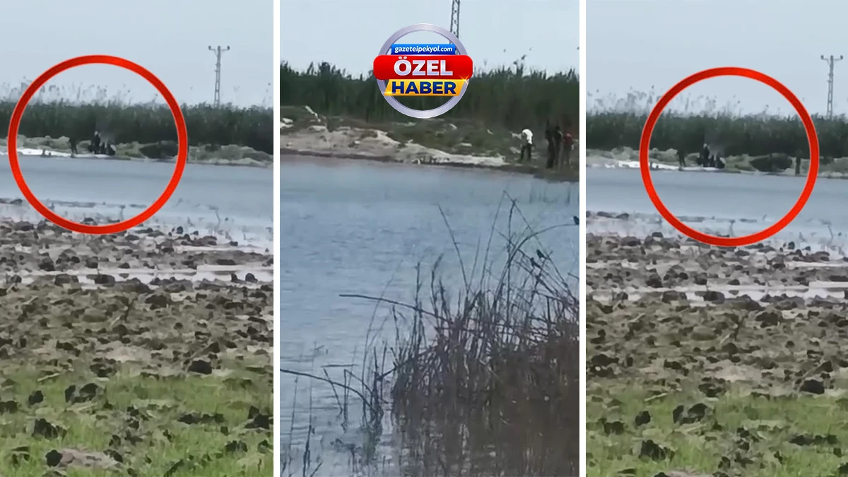 Şanlıurfa’da facia bile ders olmadı! Mayınlı alanda korkutan rahatlık