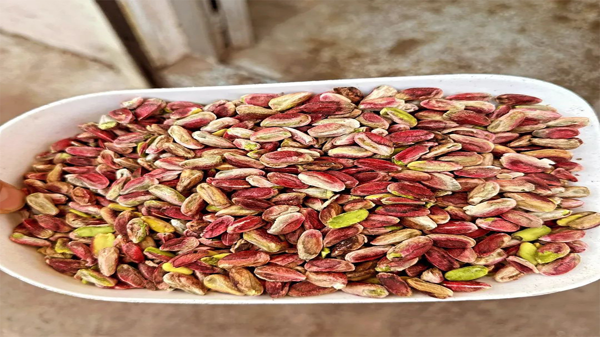 Şanlıurfa'da fıstık fiyatları zirve yaptı!  1870 TL…