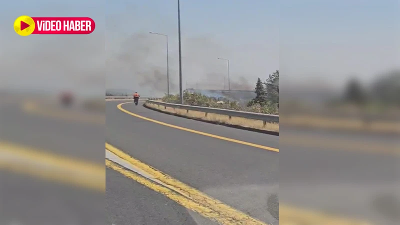 Şanlıurfa'da görüş mesafesini düşüren dumanlar korkuttu!