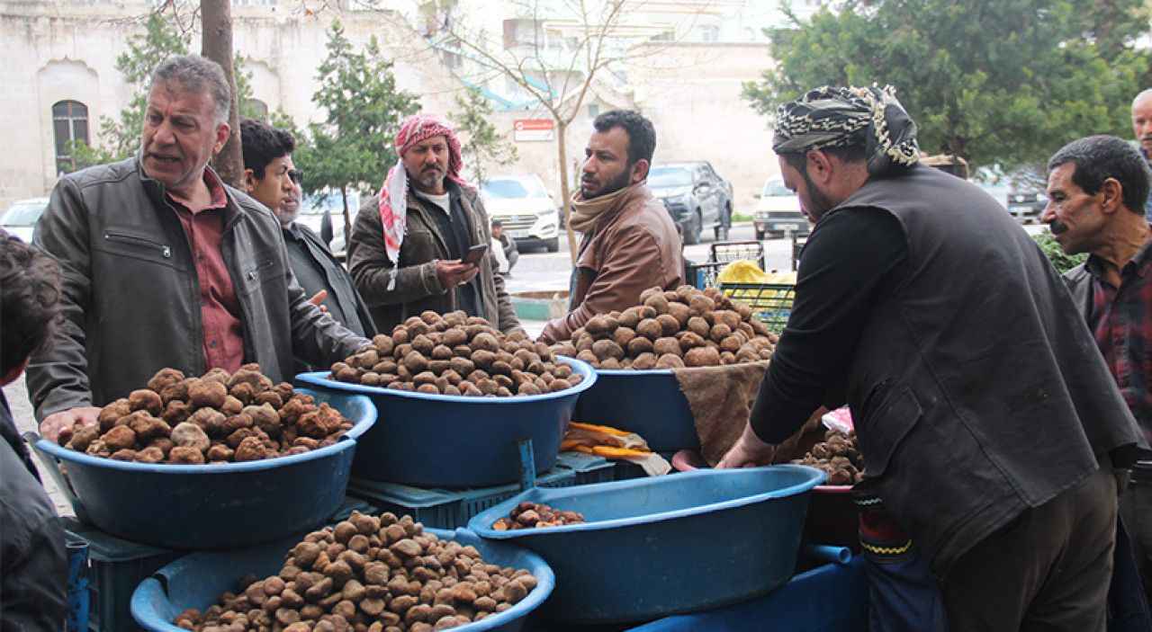 Şanlıurfa'da gücünü şimşekten almak isteyen parasına bakmayıp yiyor