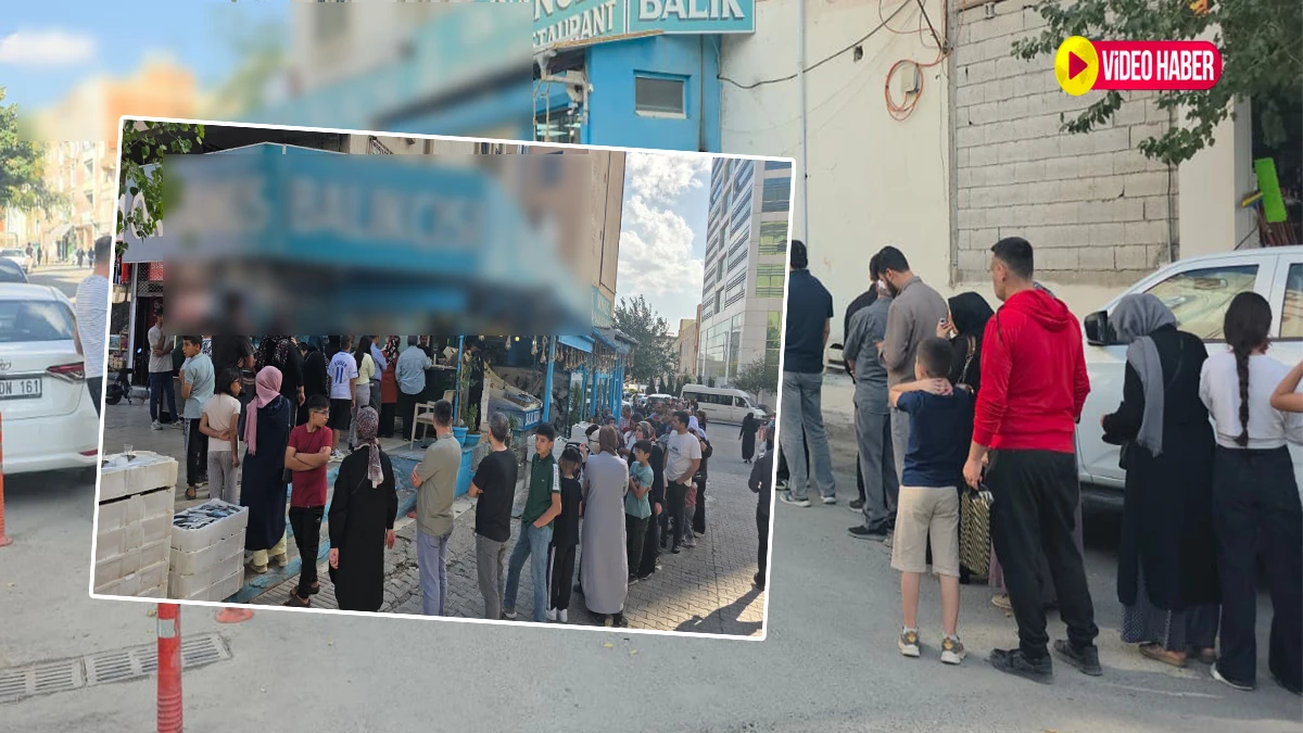 Şanlıurfa’da ‘hamsi’ izdihamı! Fiyatı duyan oraya koştu, metrelerce kuyruk...