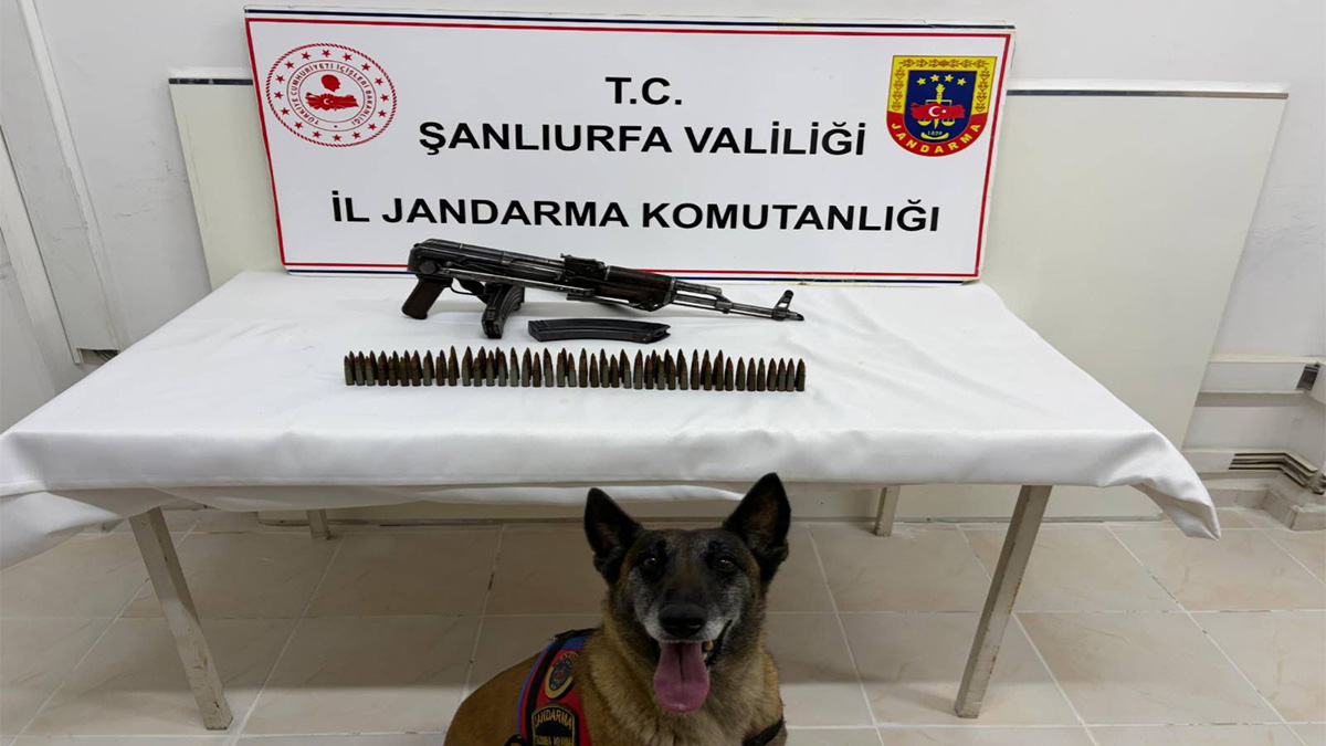 Şanlıurfa'da hassas burunlu köpek devreye girdi! Gözaltı var