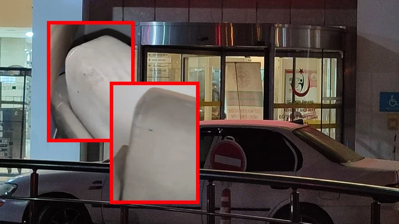 Şanlıurfa'da hastaneyi böcekler istila etti!   Kalanların korkulu rüyası oldu