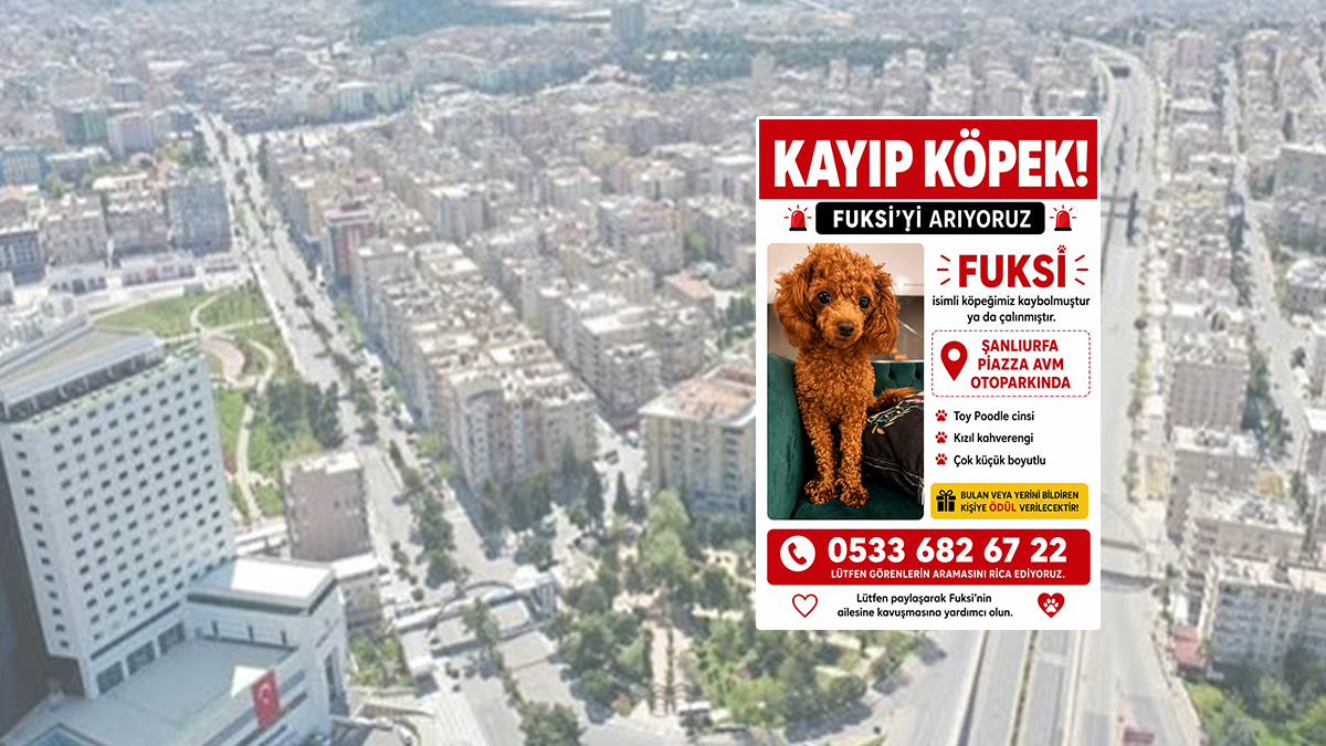 Şanlıurfa’da her yerde aranıyor! “Fuksi”yi bulana ödül verecekler
