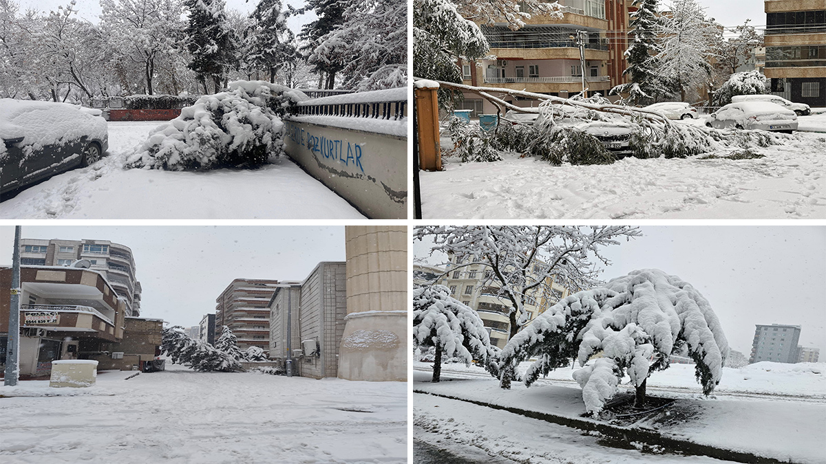 Şanlıurfa’da karın bilançosu çok ağır: Beyaz örtü yıkıp geçiyor!